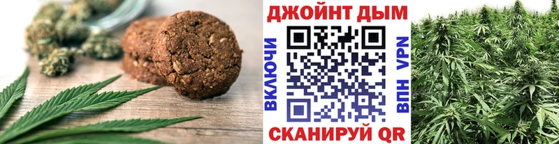 Canna-Cookies марихуана  Черноголовка 