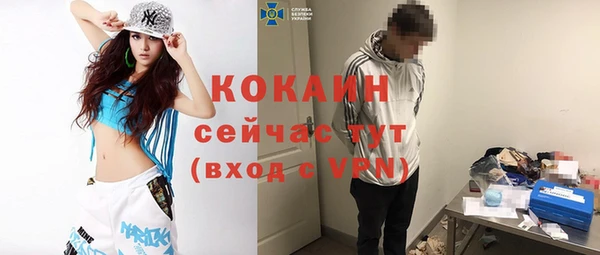 гидра Надым