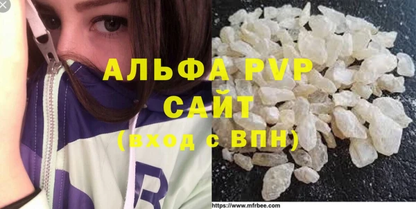 гидра Надым